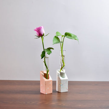 WIL - Concrete Test Tube Planter | Glass Test Tube Vases | Test Tube Propagation