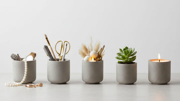 Multipurpose Concrete Jar used as planter and decor pieces