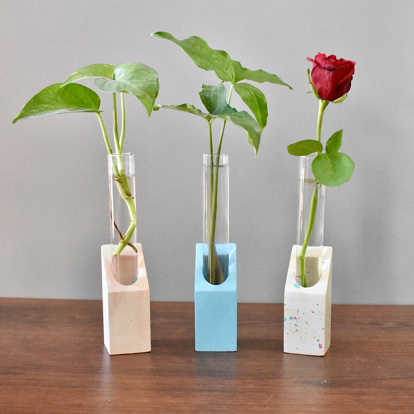 WIL - Concrete Test Tube Planter | Glass Test Tube Vases | Test Tube Propagation