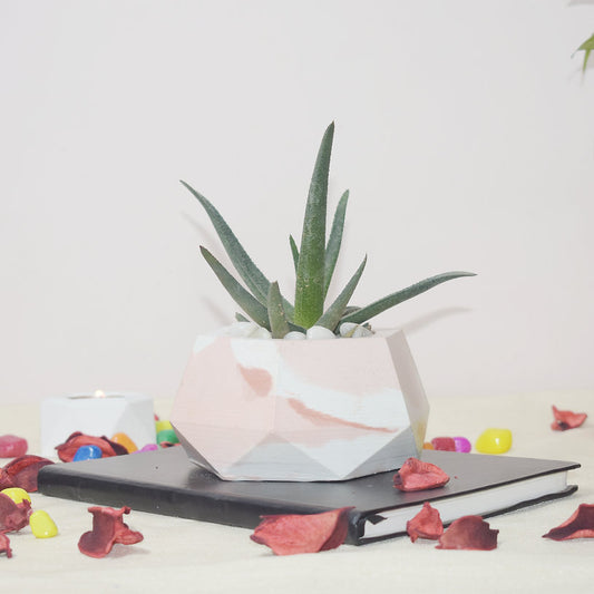 Luca - Concrete Hexagonal Planter